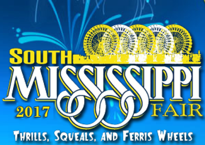 So ms fair logo 2017