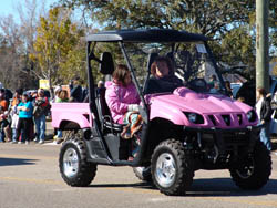 pink cart