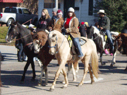 horses