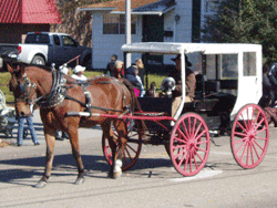 wagon